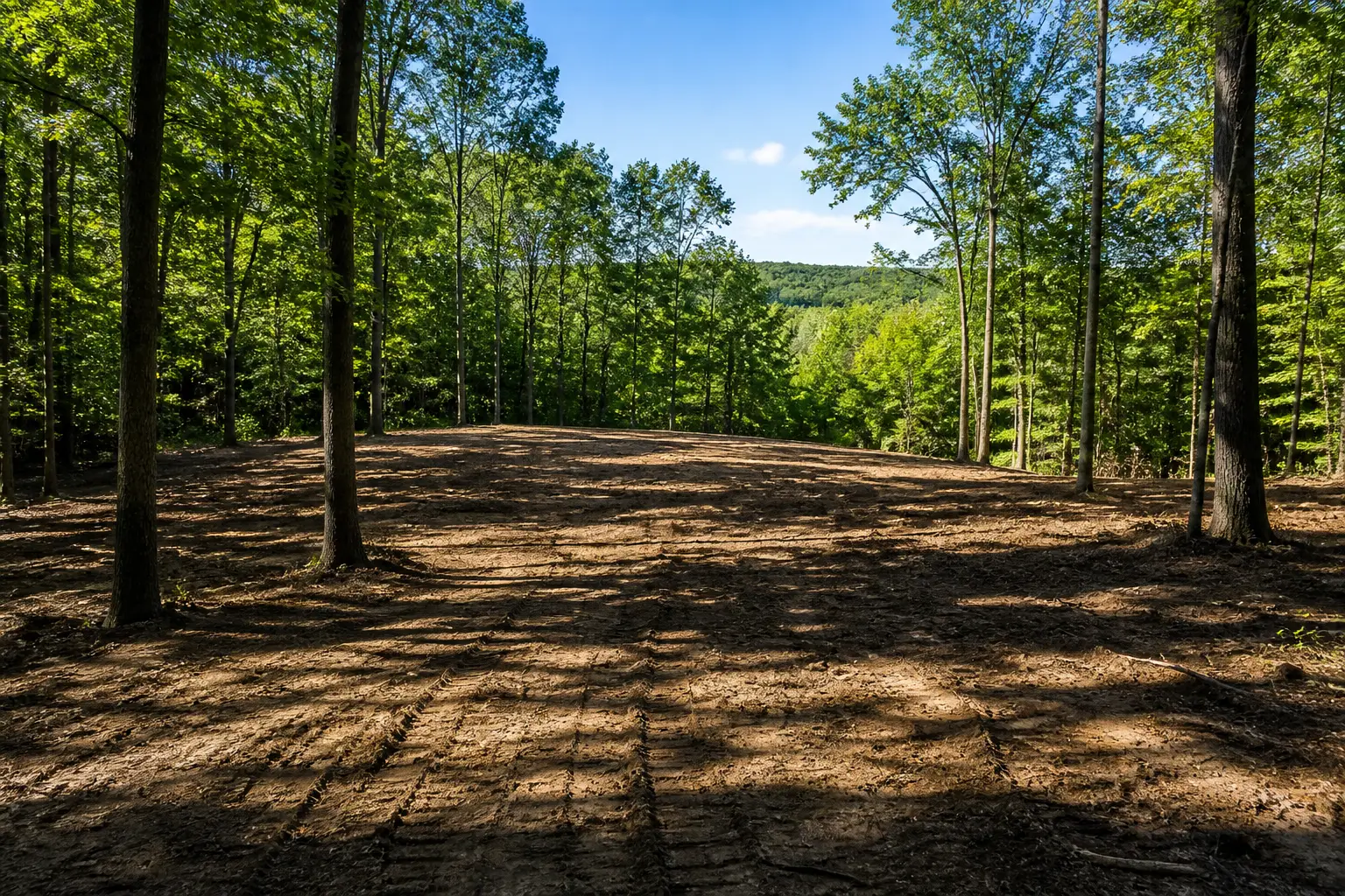 northeast ohio land